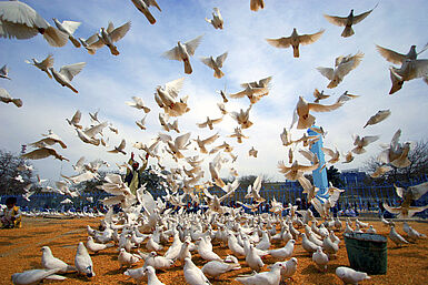 Menschen in Afghanistan lassen weiße Tauben steigen